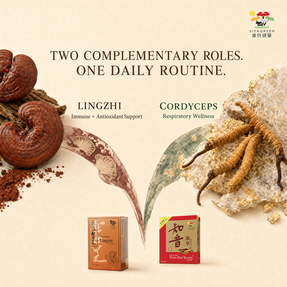 Lingzhi for immune and antioxidant support, Cordyceps for respiratory wellness