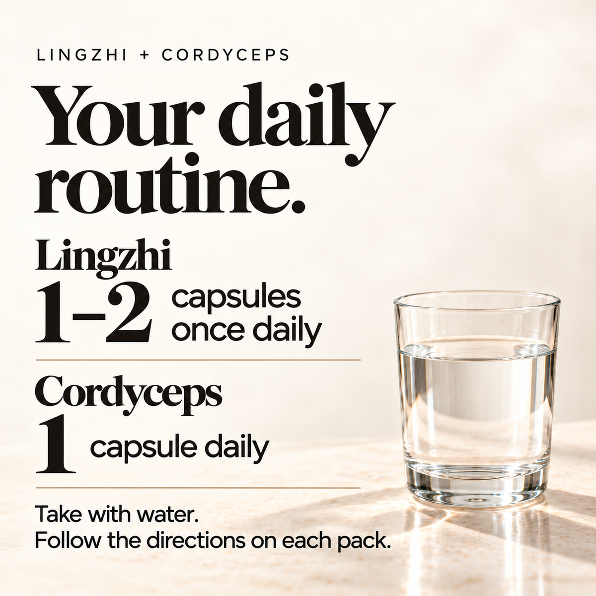 Daily Resilience Duo - Lingzhi + Cordyceps