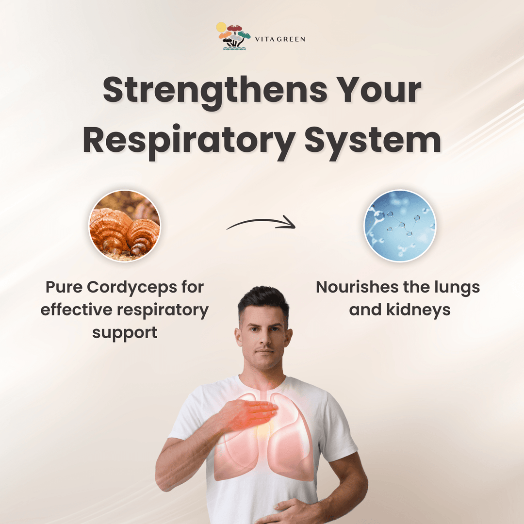 Vitality Duo: LingZhi + YinYang Cordyceps Bundle - Vita Green SG