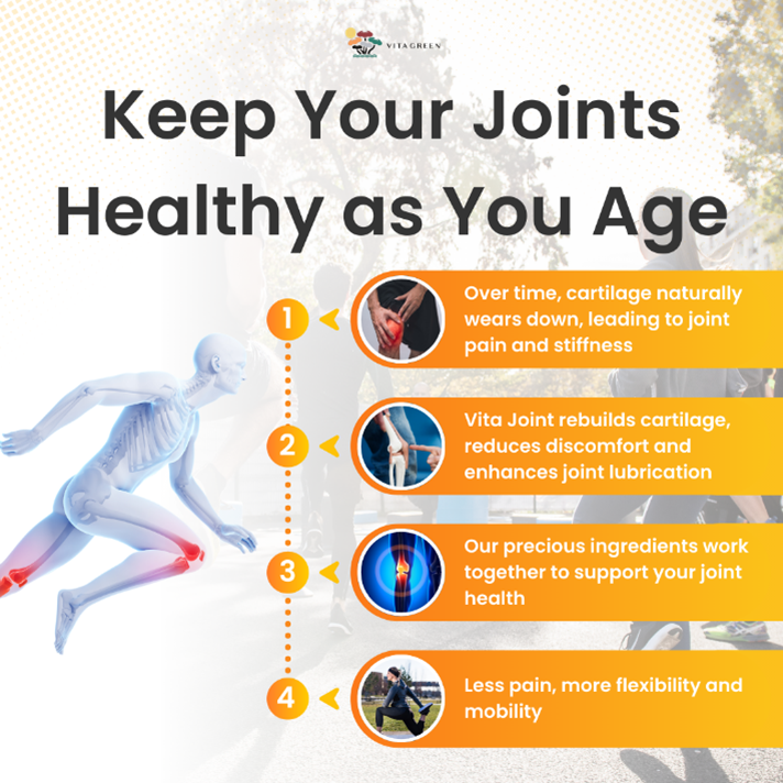 Energiser Duo: Lingzhi + Vita Joint Bundle (Copy) - Vita Green SG