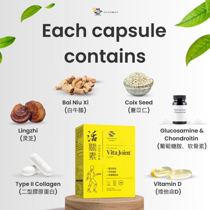 Energiser Duo: Lingzhi + Vita Joint Bundle (Copy) - Vita Green SG