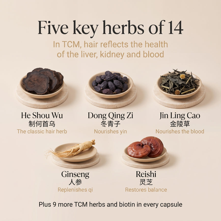 Flat lay of the five key herbs: He Shou Wu, Dong Qing Zi, Jin Ling Cao, ginseng and reishi