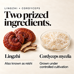 Daily Resilience Duo - Lingzhi + Cordyceps