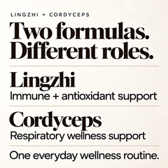 Daily Resilience Duo - Lingzhi + Cordyceps