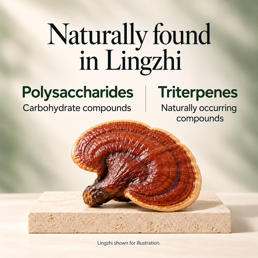 A red Lingzhi mushroom on a stone plinth