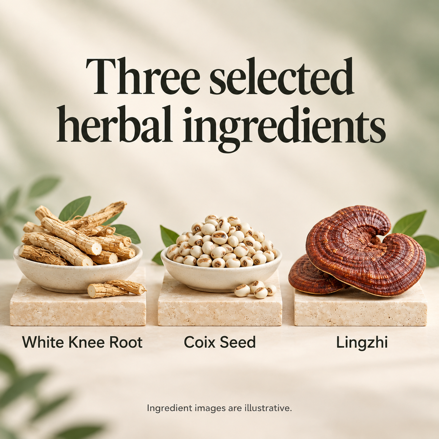 White Knee Root, Coix seed and Lingzhi