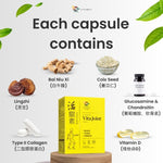 Energiser Duo: Lingzhi + Vita Joint Bundle (Copy) - Vita Green SG
