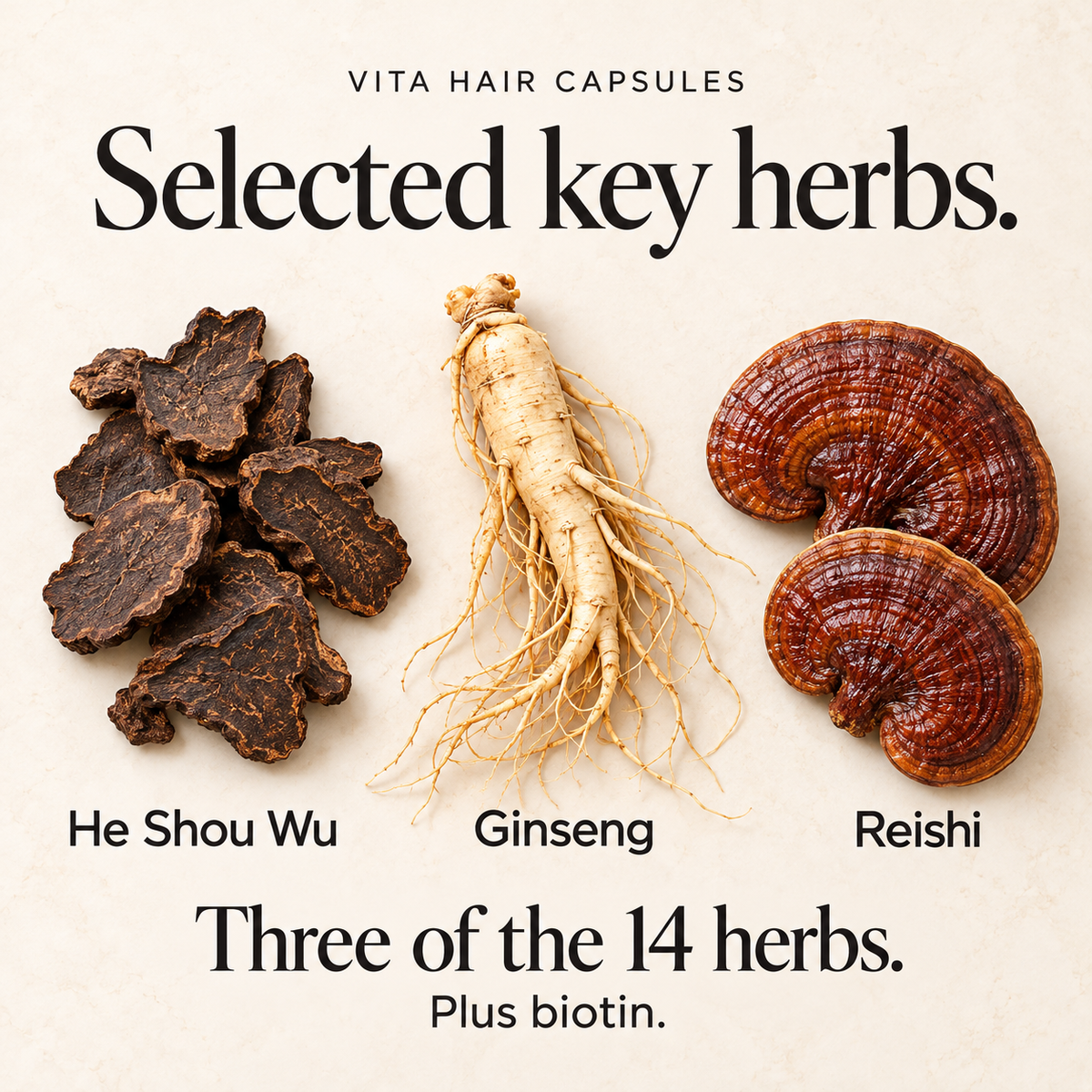 Key herbal ingredients in Vita Hair Capsules