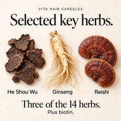 Key herbal ingredients in Vita Hair Capsules